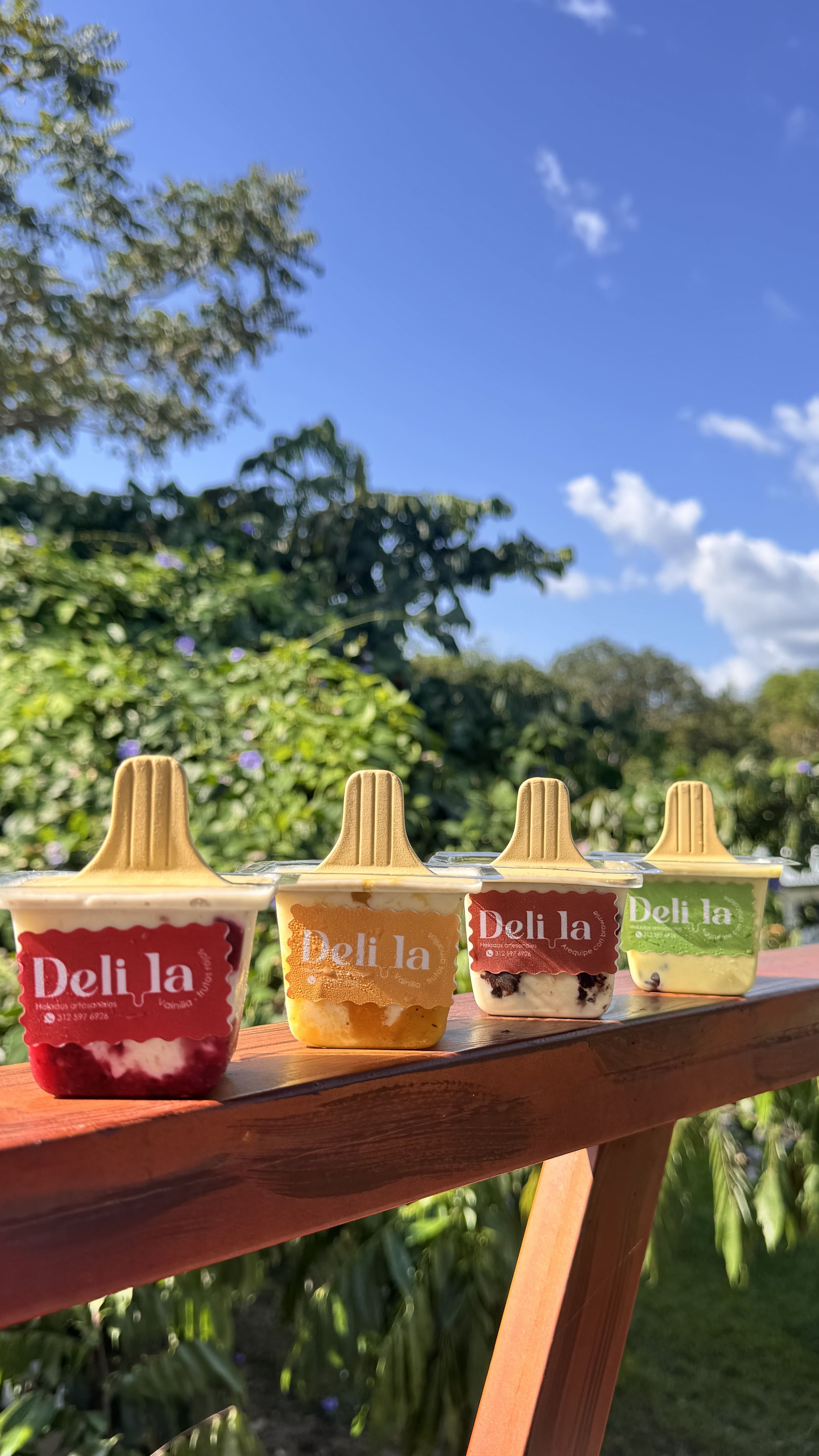 imagen de la categoriaHelados artesanales